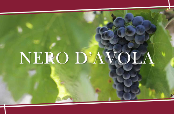 【7月專欄】Nero d'Avola - 來自西西里的經典品種