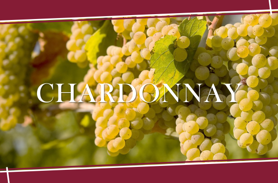 【8月專欄】Chardonnay - 如空氣般深藏於市經典品種