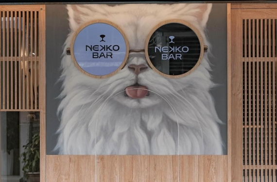【台北酒吧】Nekko Bar 貓吧 - 台北第一間寵物友善酒吧