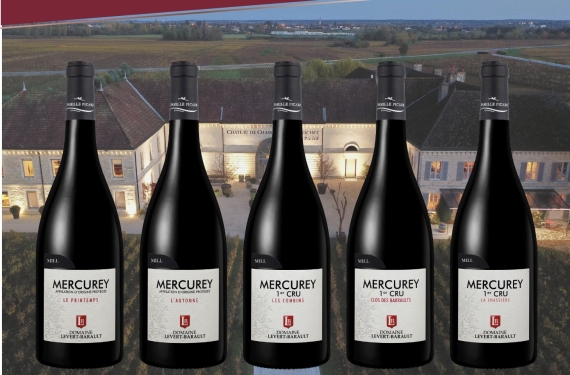 【春日序曲】勃根地 Levert-Barault：女神級風土選品系列