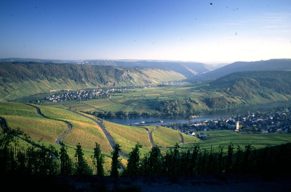 《打破 Mosel 嚴謹框架：Staffelter Hof 顛覆傳統的自然之作》